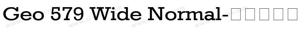 Geo 579 Wide Normal字体转换